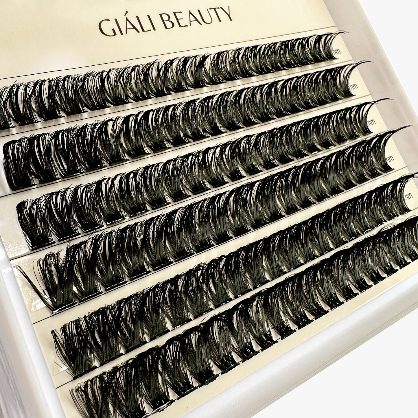 Giali Beauty DIY Bond Adhesive Required Lash Trays Value Pack - Giali Beauty